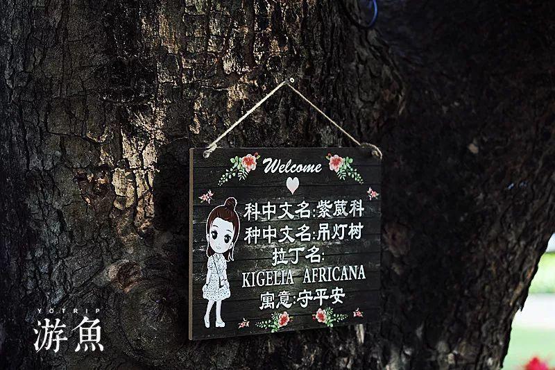 超数码宝贝3.0